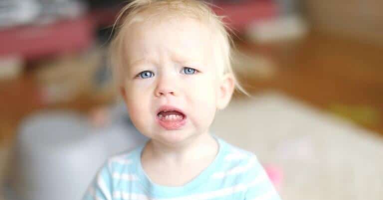 Practical tips to improve mealtime with a picky or fussy eater. Tips from a Qualified Dietitian with 3 Preschoolers