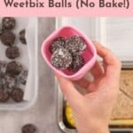 Hand holding a small silicone container with four weetbix balls inside, with text overlay; Easy Chocolate Weetbix balls (no bake).