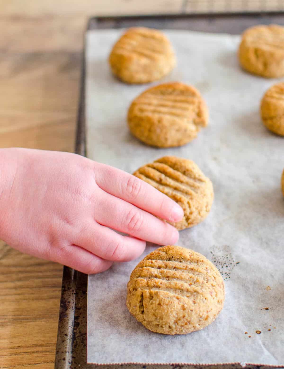 A child's hand reaching for a cookie off a lined baking sheet.