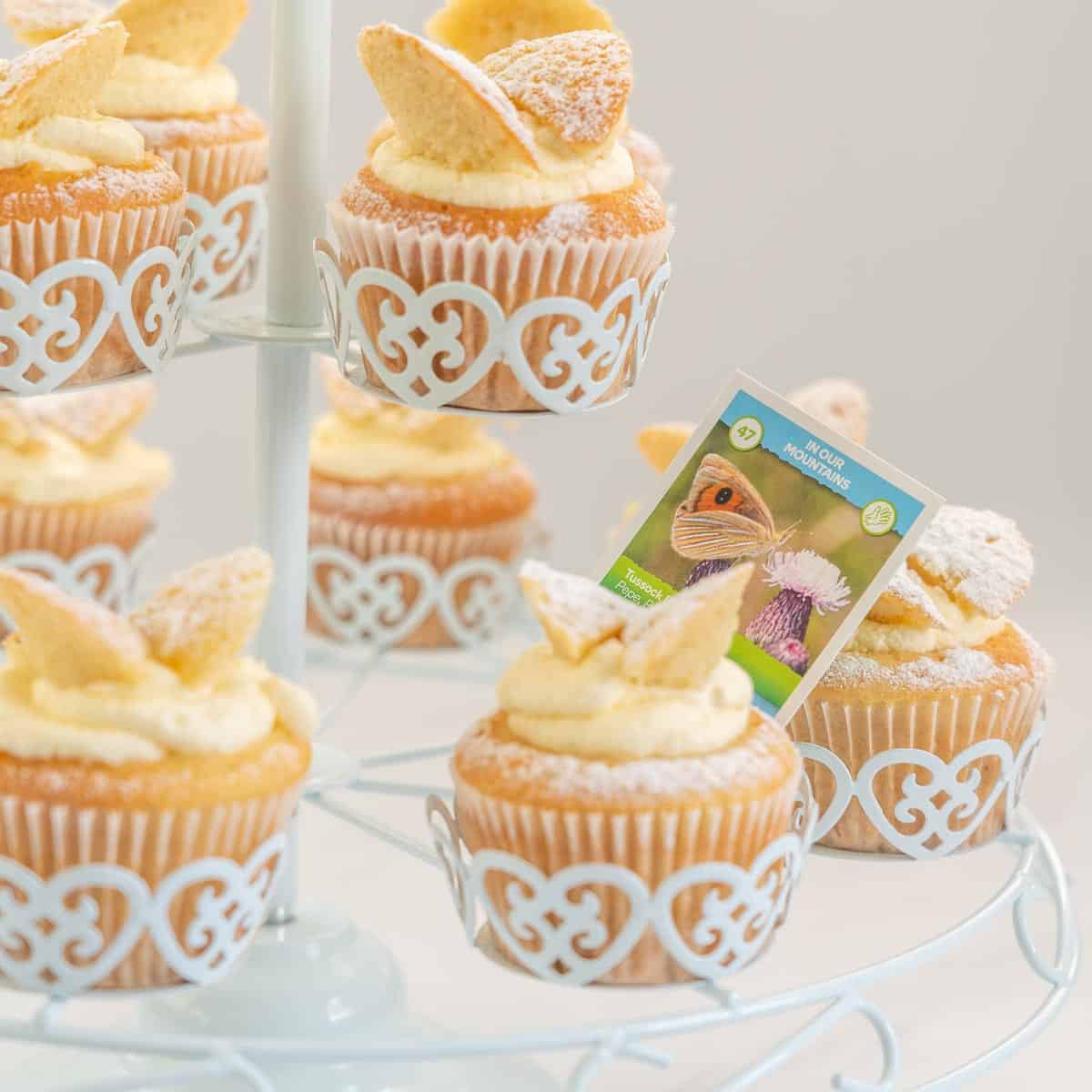 A white wire rack with butterfly cupcakes on with a butterfly information card
