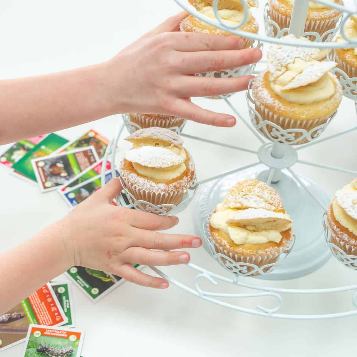 Kids hands taking a butterfly cupcake of the white rack.