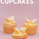 3 butterfly cupcakes on a pink background with text overlay