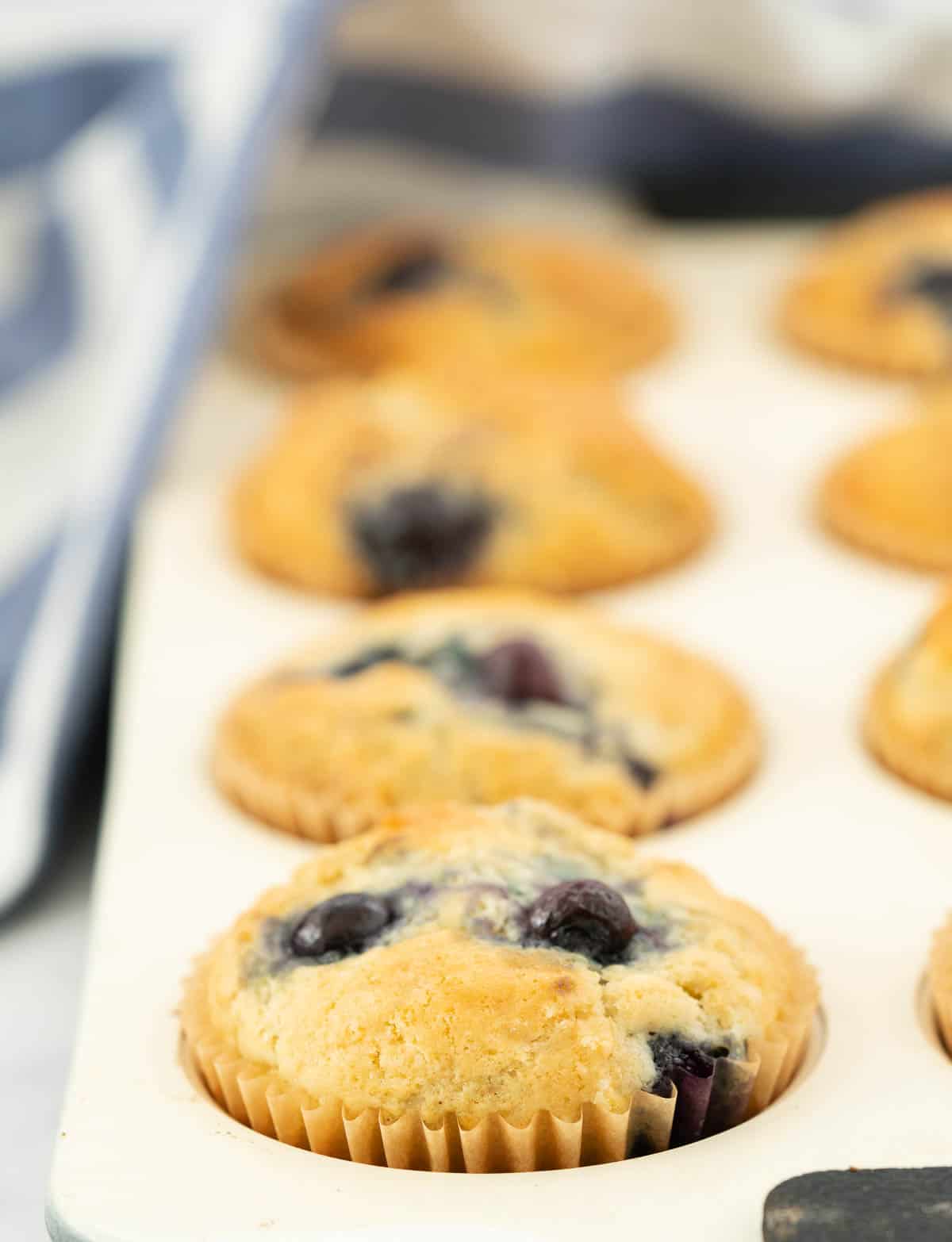 Blueberry muffins in a white muffin tray, with a blue and white striped cloth.