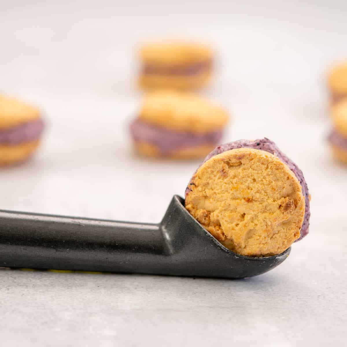 A blueberry ice cream filled cookie sandwich sitting up right in an ice cream scoop.