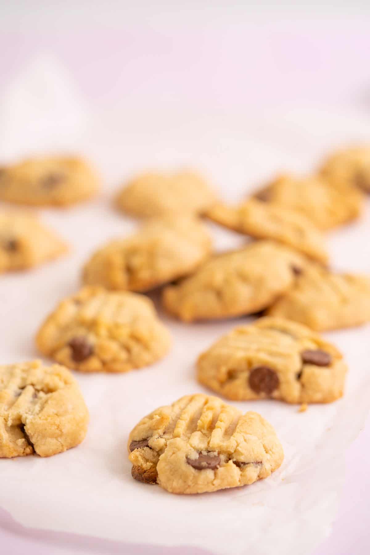 Gluten free vegan cookies lying scattered on a piece of baking paper, with a pink background.