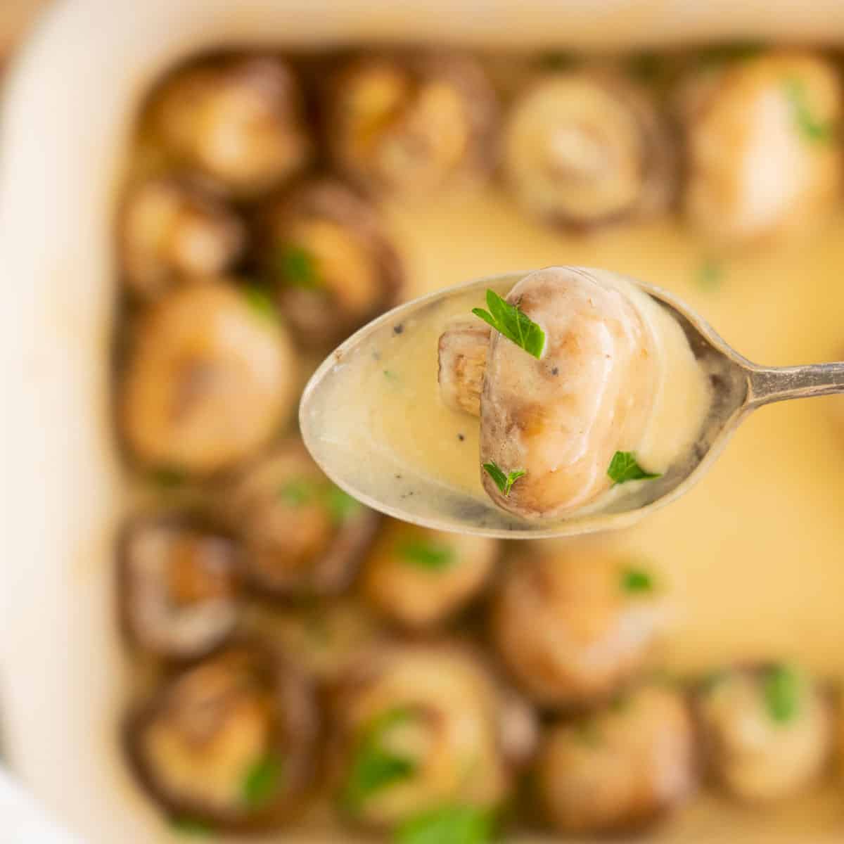 A serving spoon with a button mushroom coated in a creamy sauce held above a dish of roasted mushrooms.