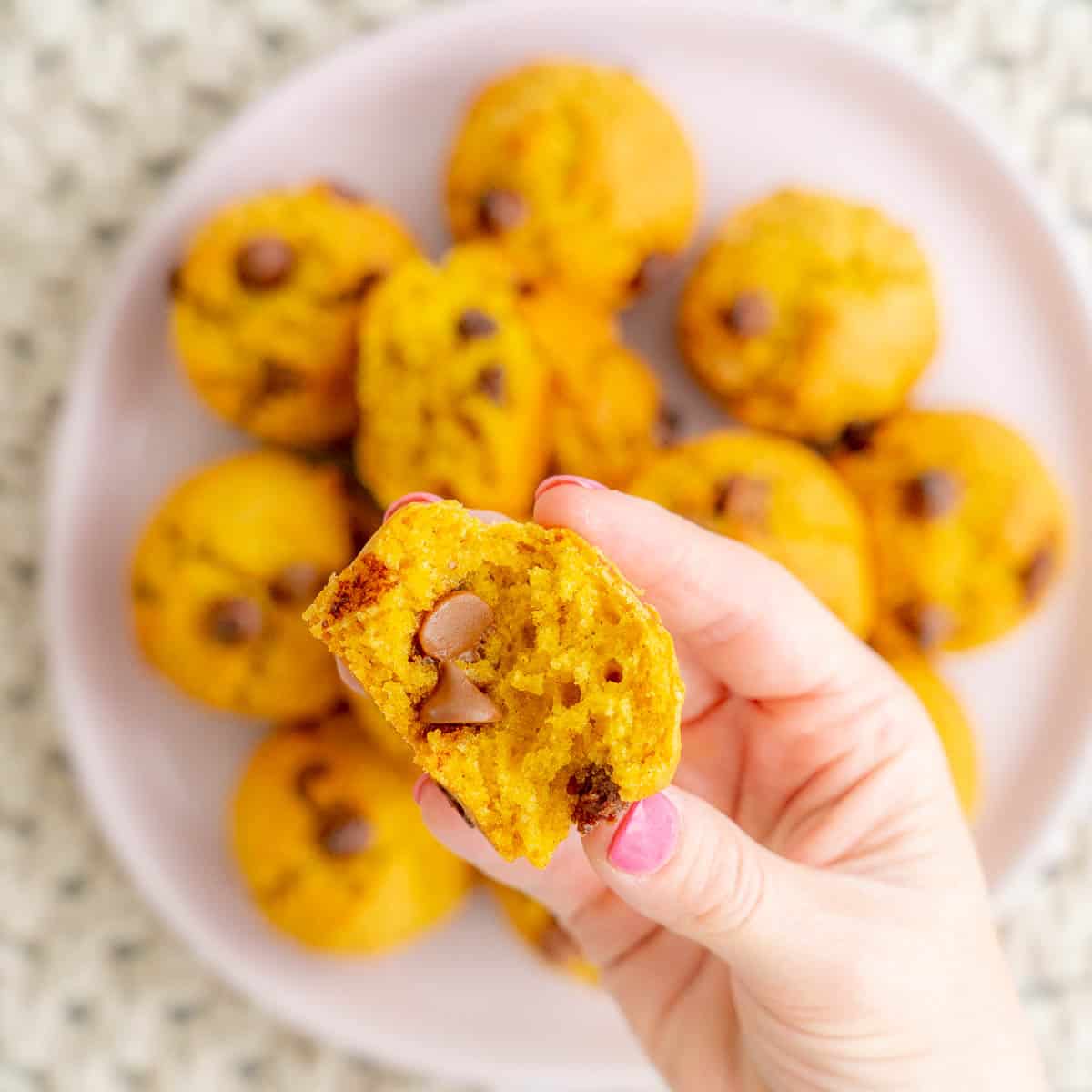 A woman's hand holding half a pumpkin chocolate chip muffin with chocolate chips visible.