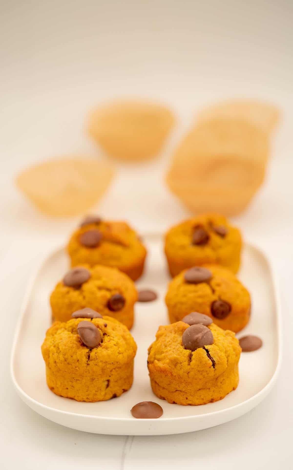 6 pumpkin chocolate chip muffins on a white rectangular serving plate.