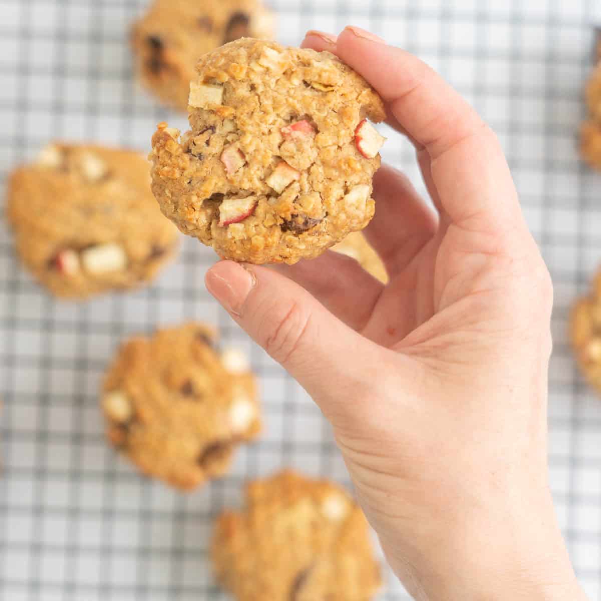 A hand holding an oatmeal cookie studded with pieces of apple.