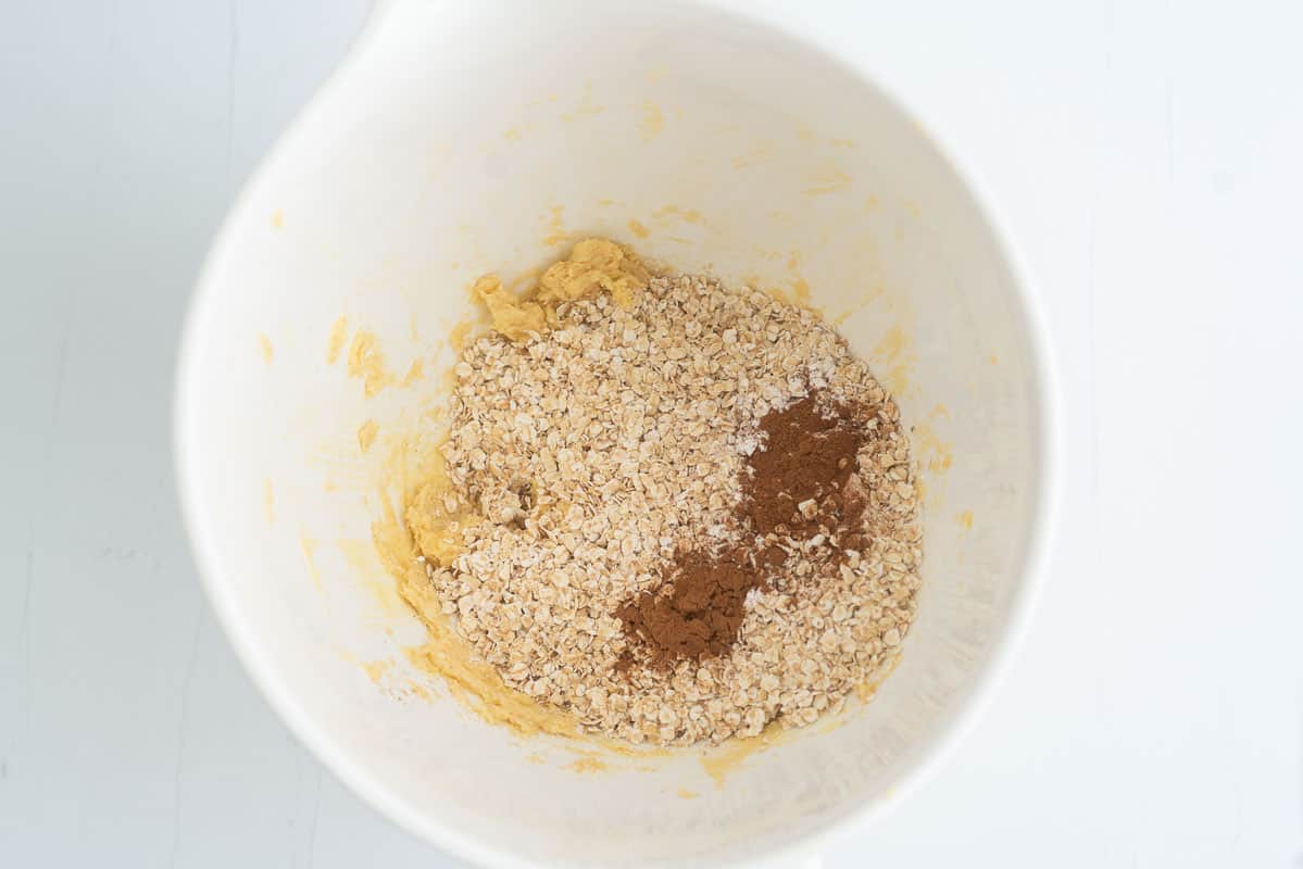 Rolled oats and cinnamon in a large mixing bowl.