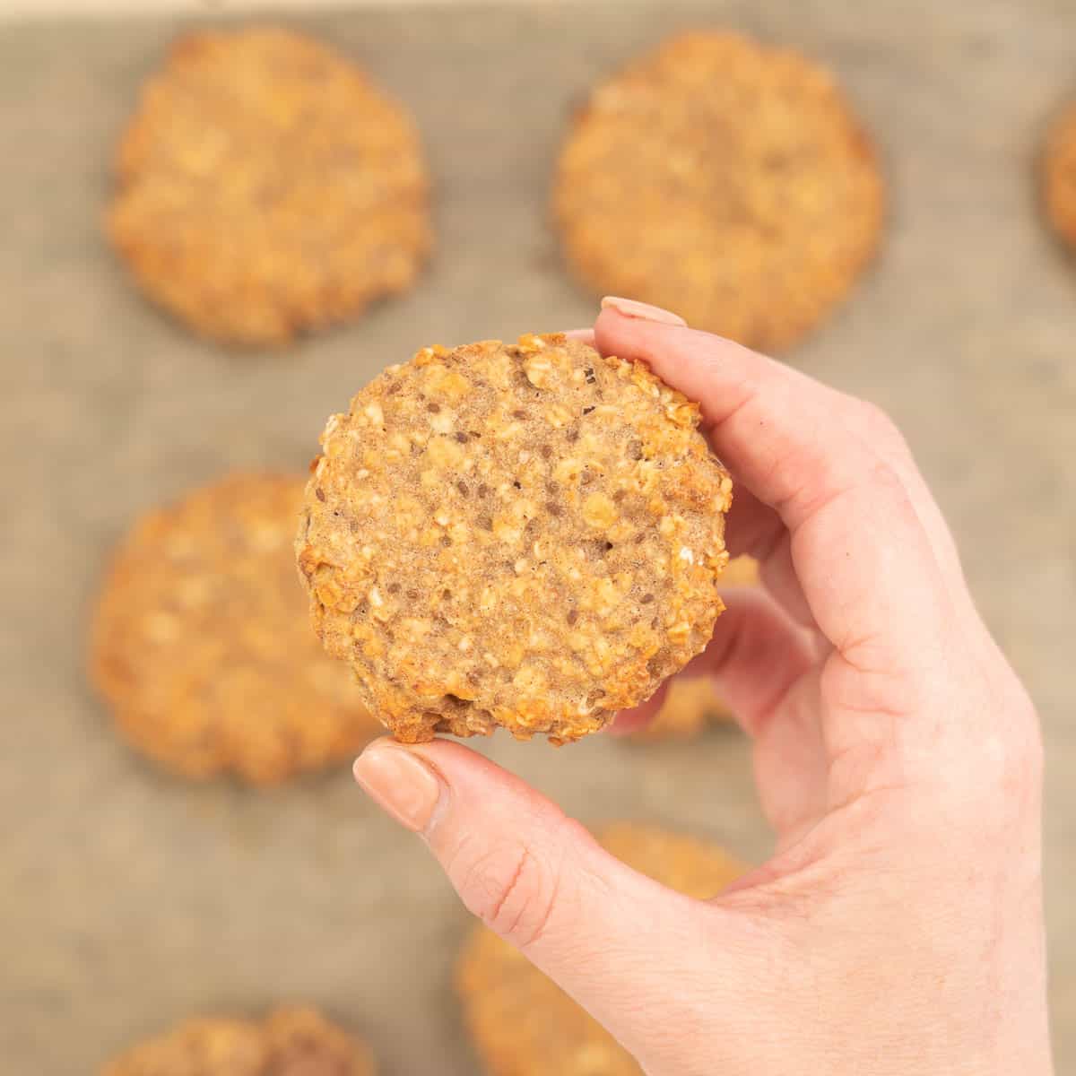 A hand holding an oatmeal toddler cookie above a tray of baked cookies.