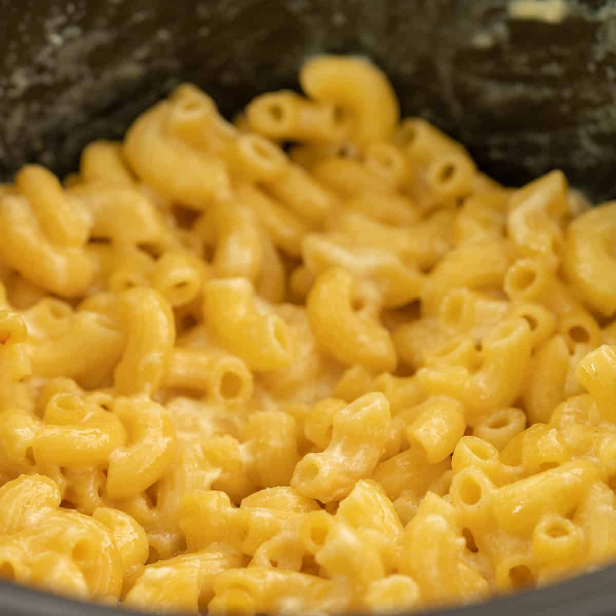 Cooked macaroni cheese.