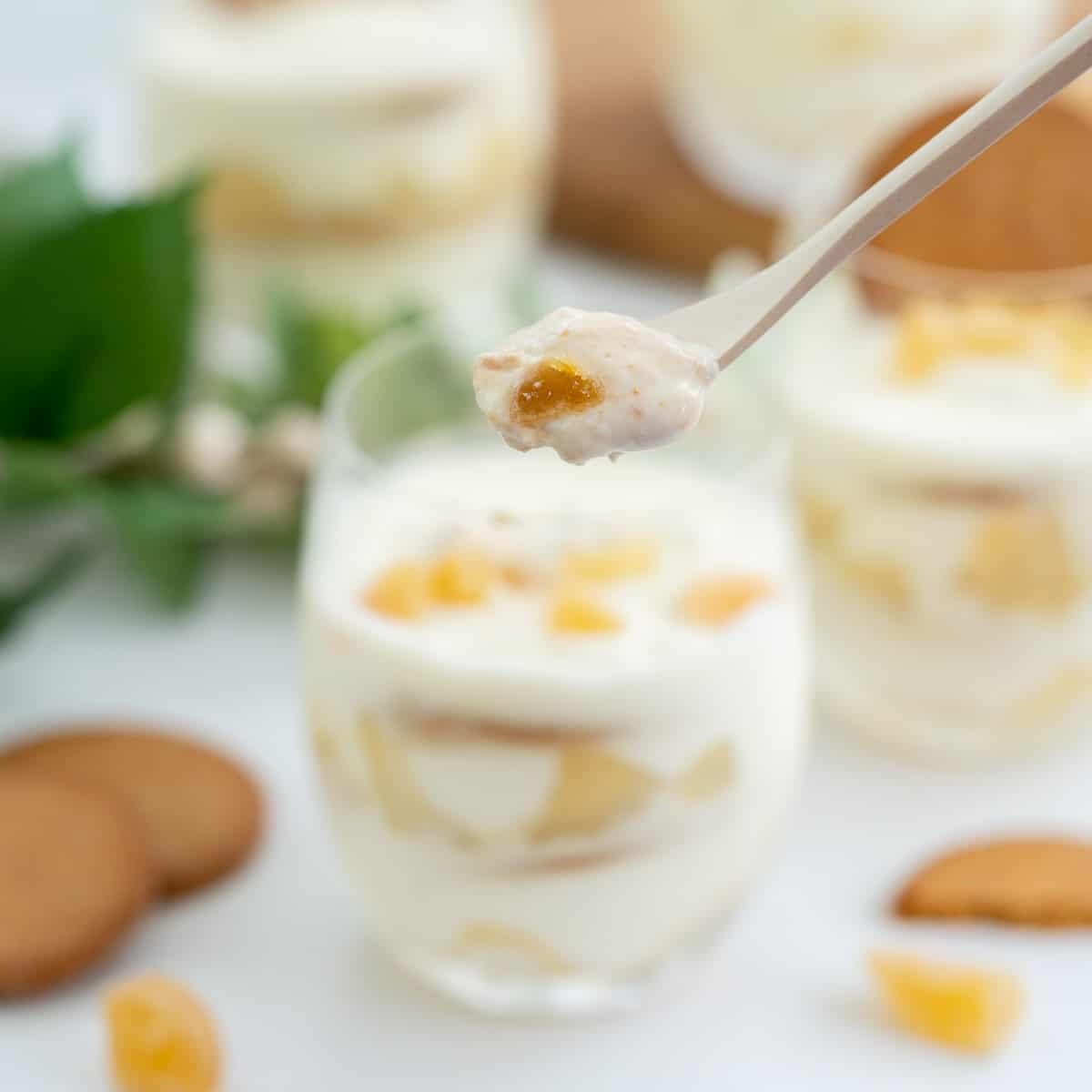 A spoon of gingery yoghurt being scooped out of a parfait glass.