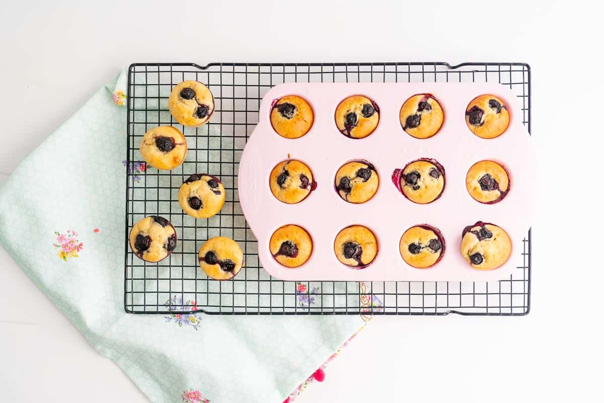 Baked muffins in a muffin tray on a cooling rack.