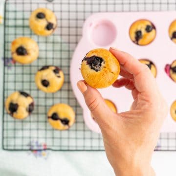 A mini muffin topped with a blueberry being held above a tray of cooked muffins.