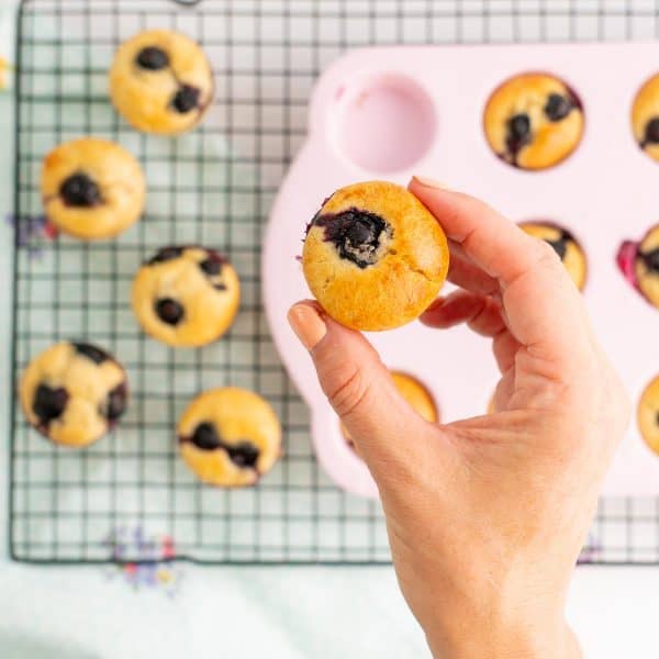 A mini muffin topped with a blueberry being held above a tray of cooked muffins.