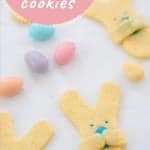 Easter bunny cookies on a white bench top scattered with sugared almond and text overlay.