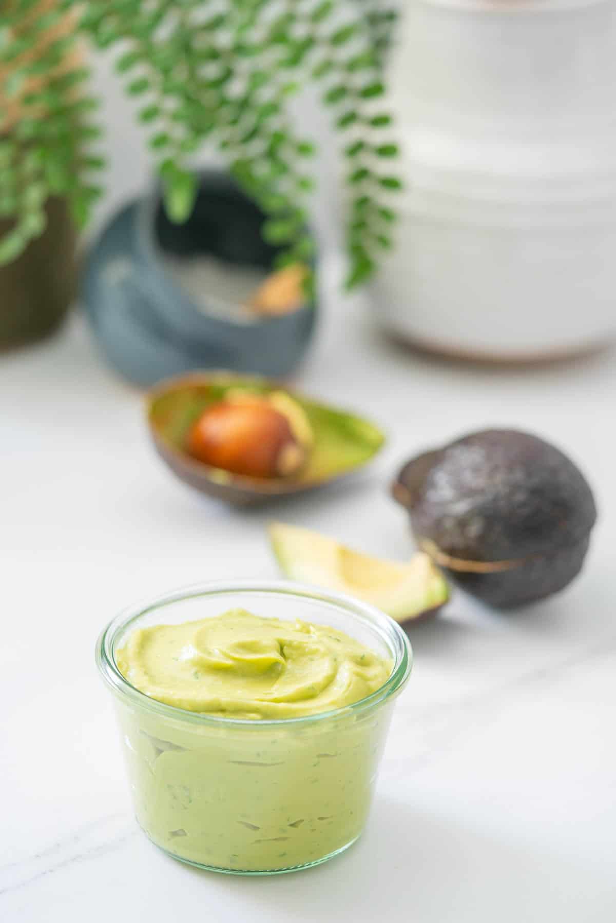 A glass jar of avocado aioli sitting on a bench top in front of a pot plant, salt pig and avocado skins.