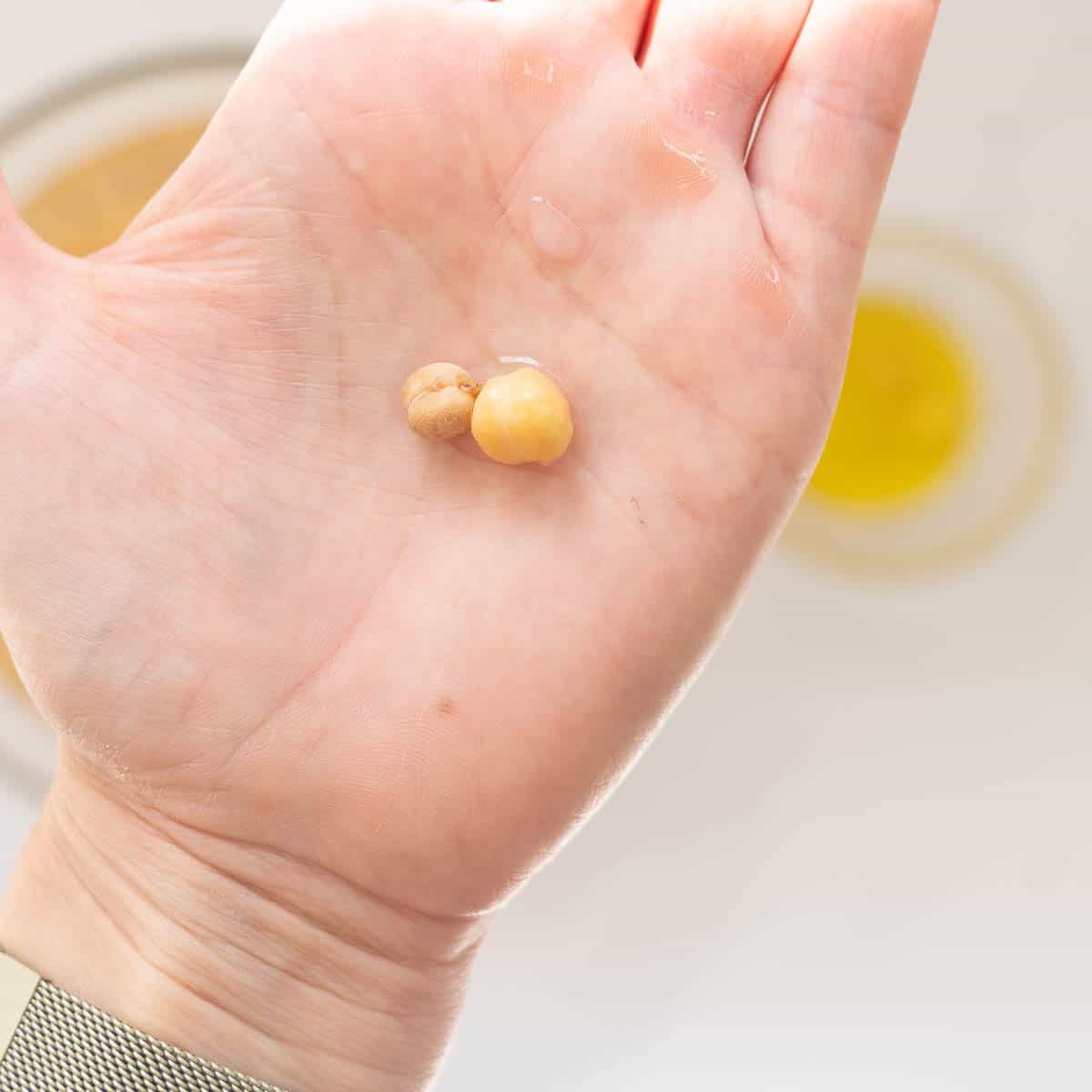 a dried chickpea sitting next to a soaked chickpea on the palm of a hand.