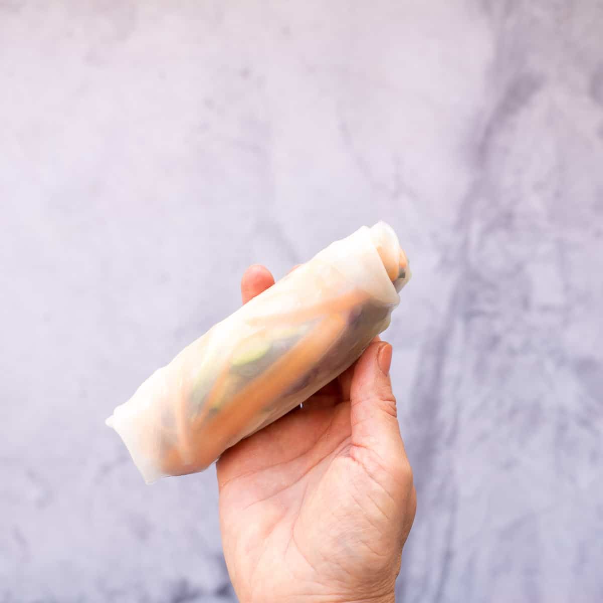Hand holding a rice paper roll rolled up.