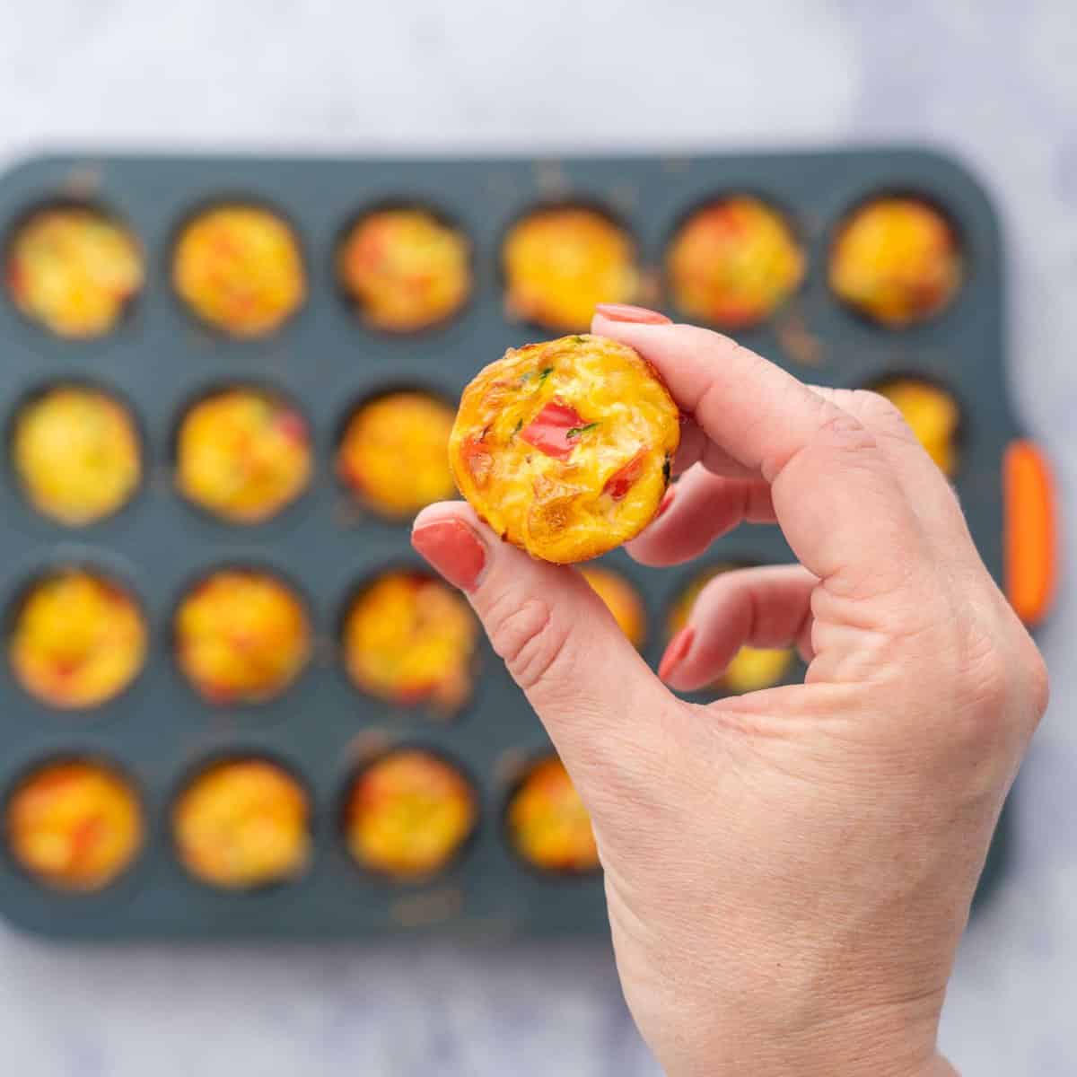 Mini egg muffin being held up by hand with muffin tray in background.