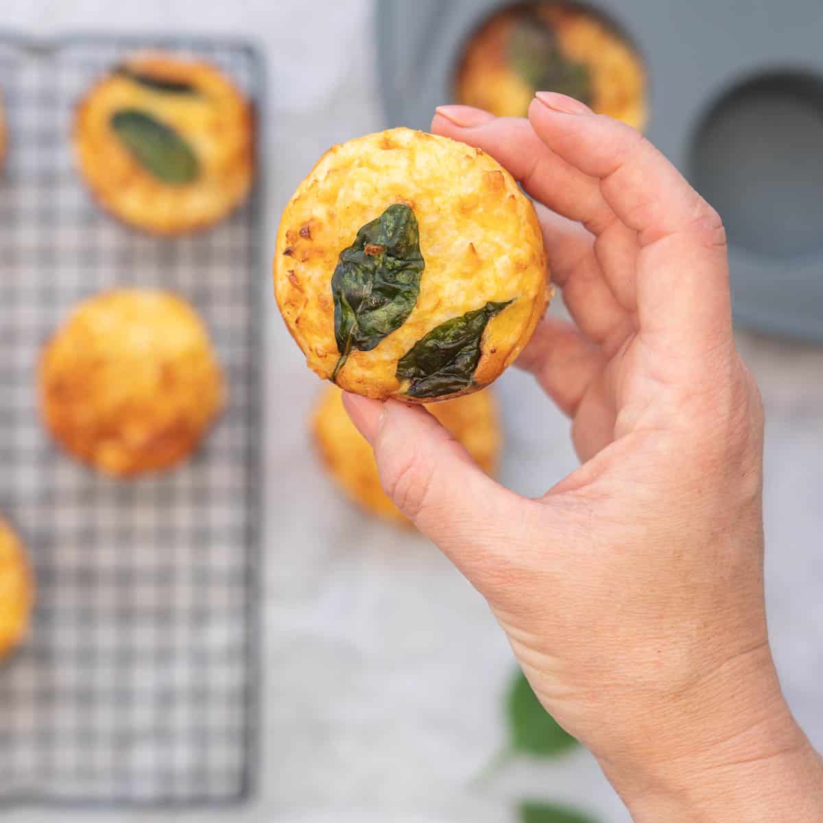 An egg muffin topped with spinach leaves being held up to the camera