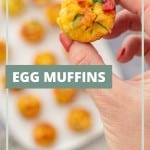 A mini egg muffin studded with colourful vegetables being held up to the camera, with the text Egg Muffin in the centre of the picture.