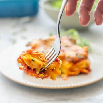 A fork full of butternut squash pasta
