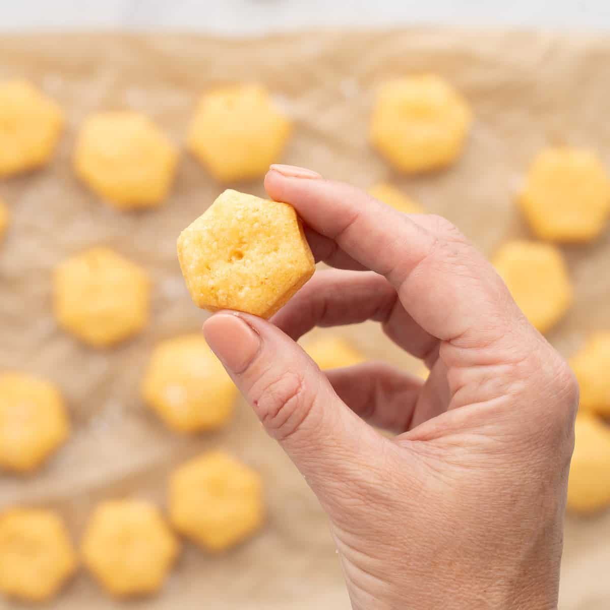 A hand holding one cheese cracker above the batch of golden brown baked cheese crackers which are resting on lined baking tray.