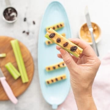 A hand holding a piece of celery filled with peanut butter topped with 4 raisins.
