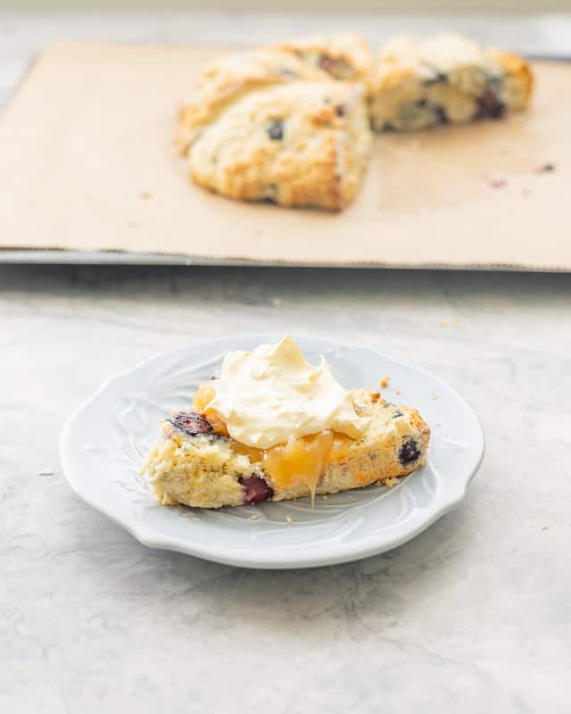 One baked blueberry scone resting on a plate with a drizzle of honey and cream on top which is sitting in front of the remainder of the batch of scones on the lined baking tray,