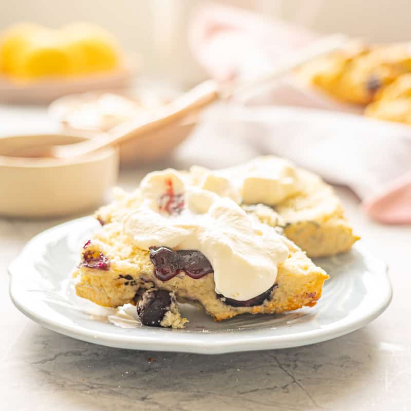 A halved Lemon Blueberry Scone served on a plate with jam and cream resting on the bench in front of the remaining batch of scones wrapped in a tea towel