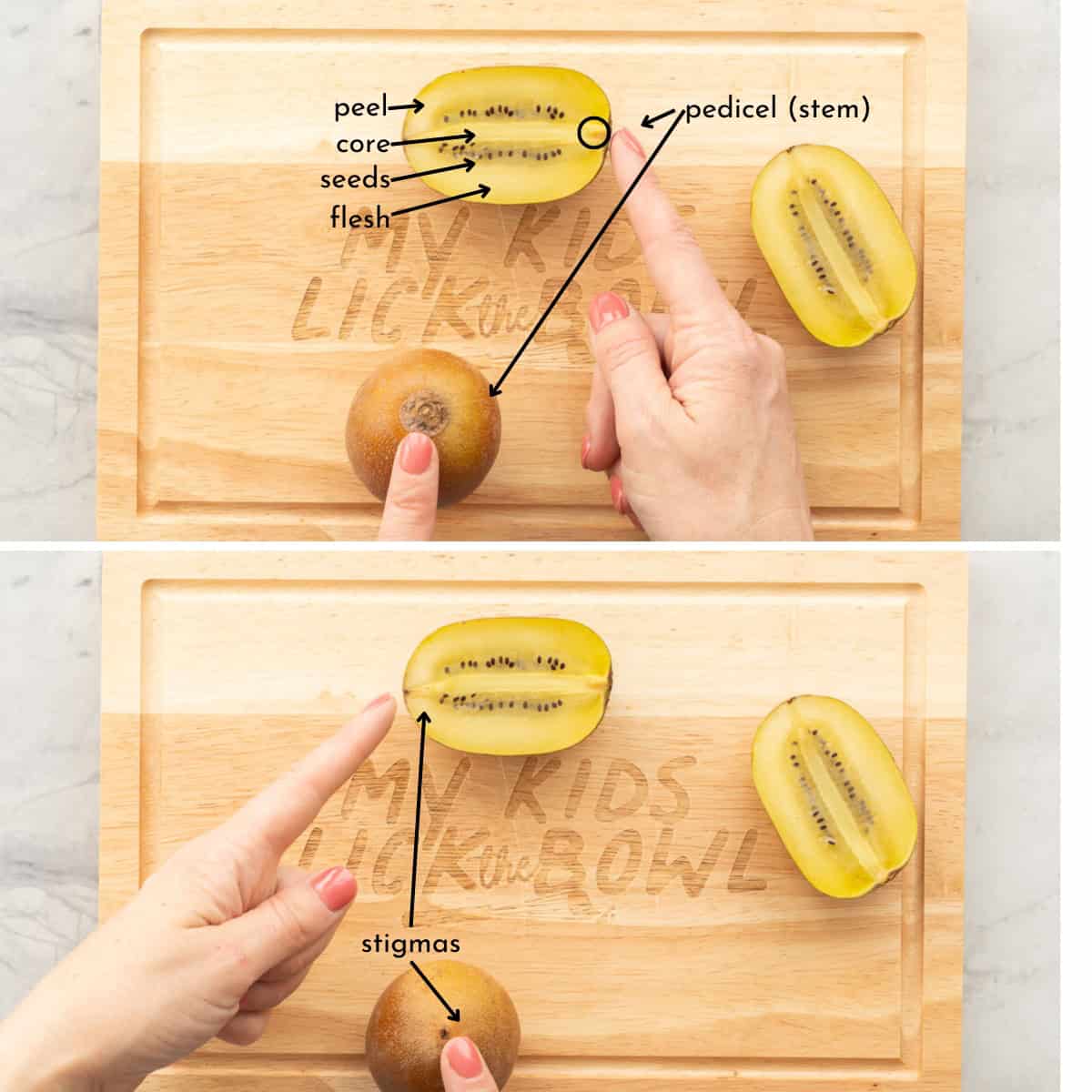 A golden kiwi fruit cut in halved and labeled with the parts of the fruit.
