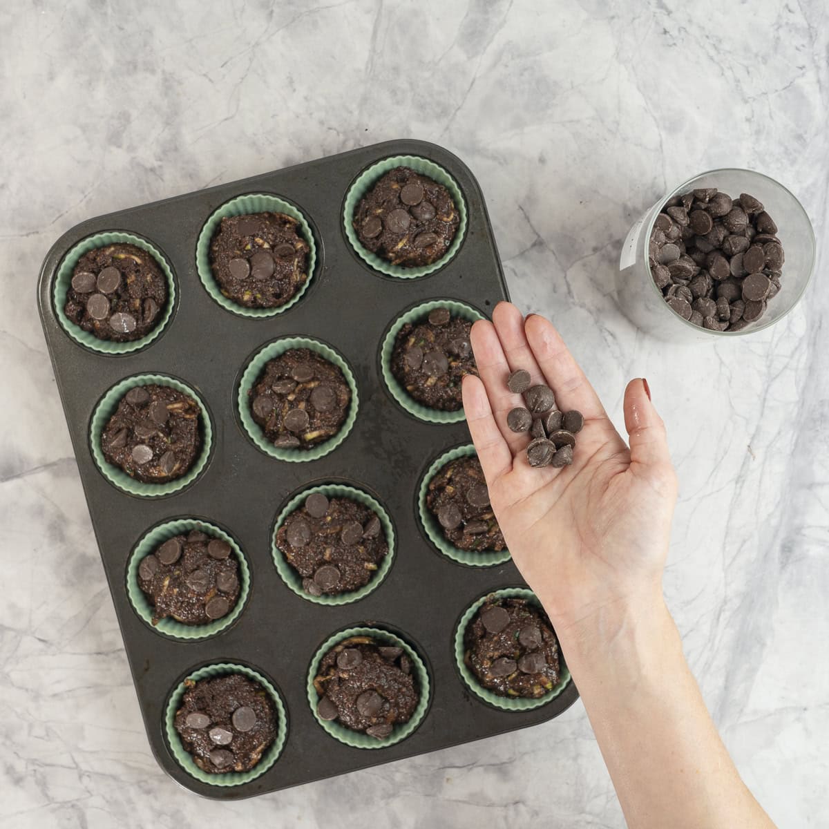 Hand holding a handful of chocolate chips above muffin tray of Chocolate zucchini muffins.