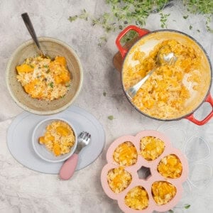 Servings of risotto in dinner bowl and baby bowl on benchtop, cast iron pan with serving spoon of risotto, freezer cube with servings of risotto inside.