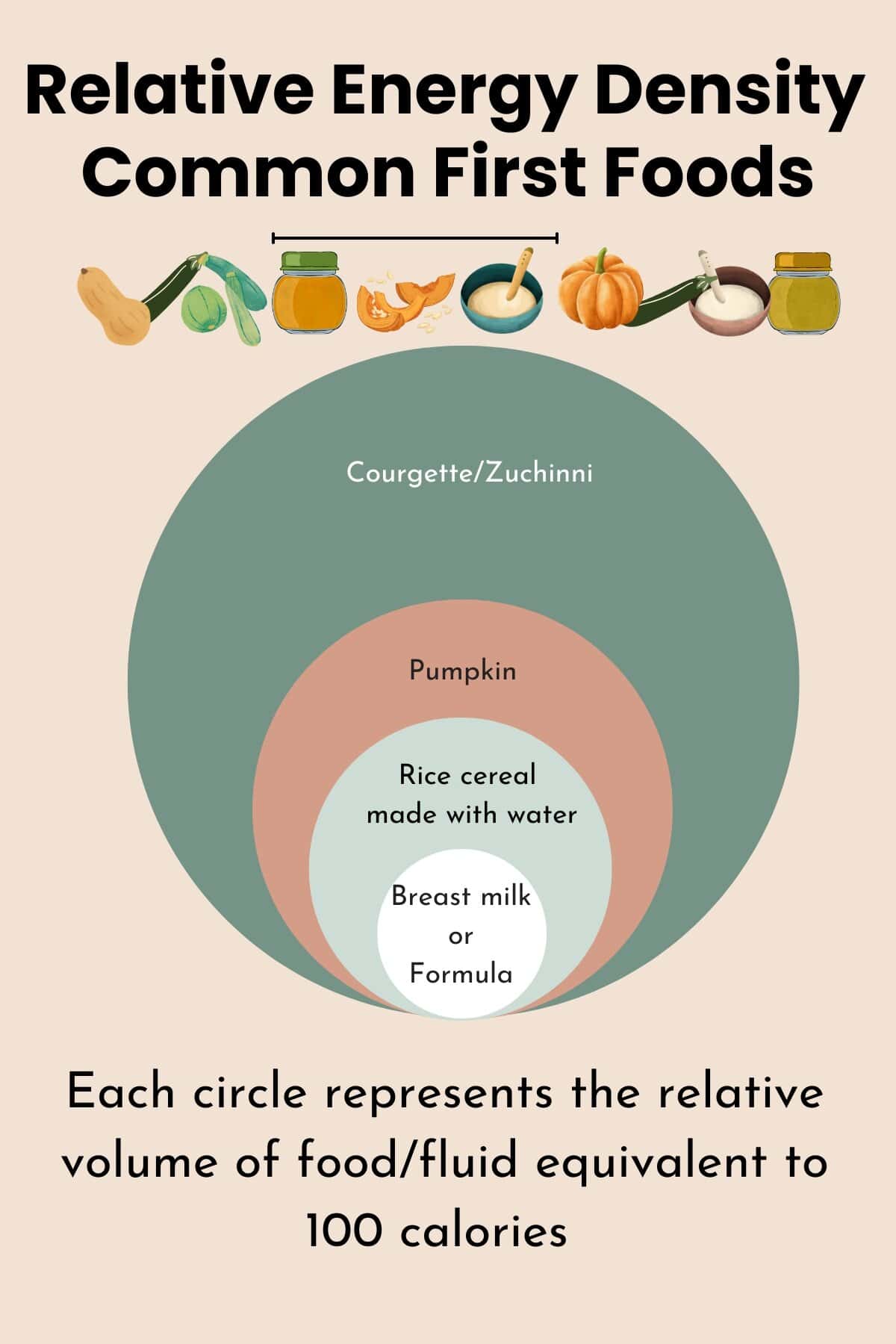 Infographic showing the relative energy density of common first foods by using circles of different sizes.