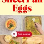 Four image collage showing process steps for sheet pan eggs, text overlay Easy Family Breakfast Recipe, Sheet pan Eggs, feed a crowd'.